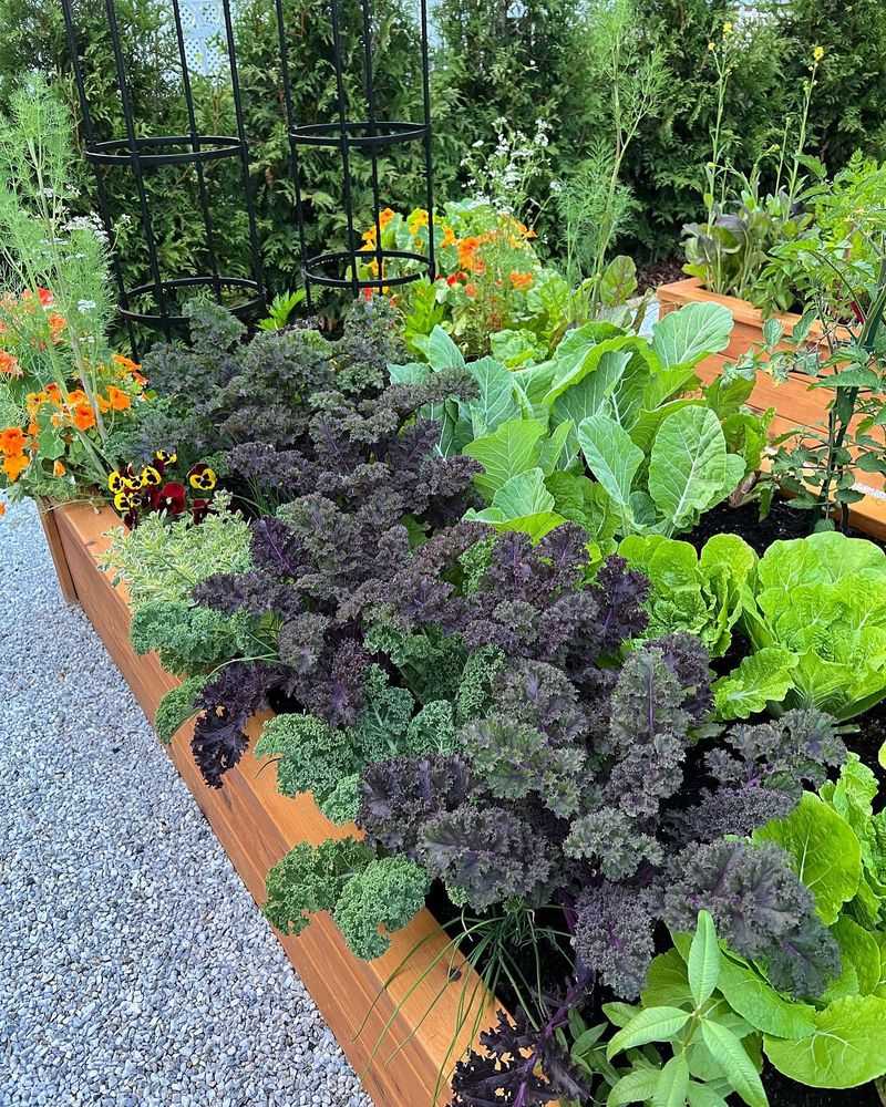 Compact Planting Techniques
