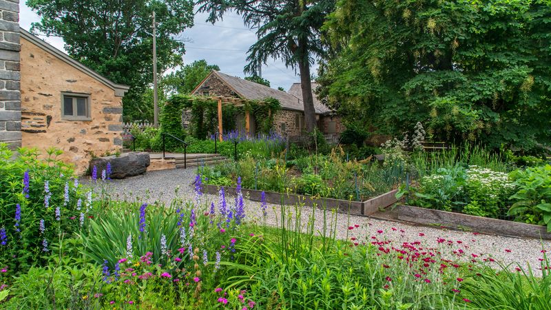 Bartram's Garden: America's Oldest Botanical Collection