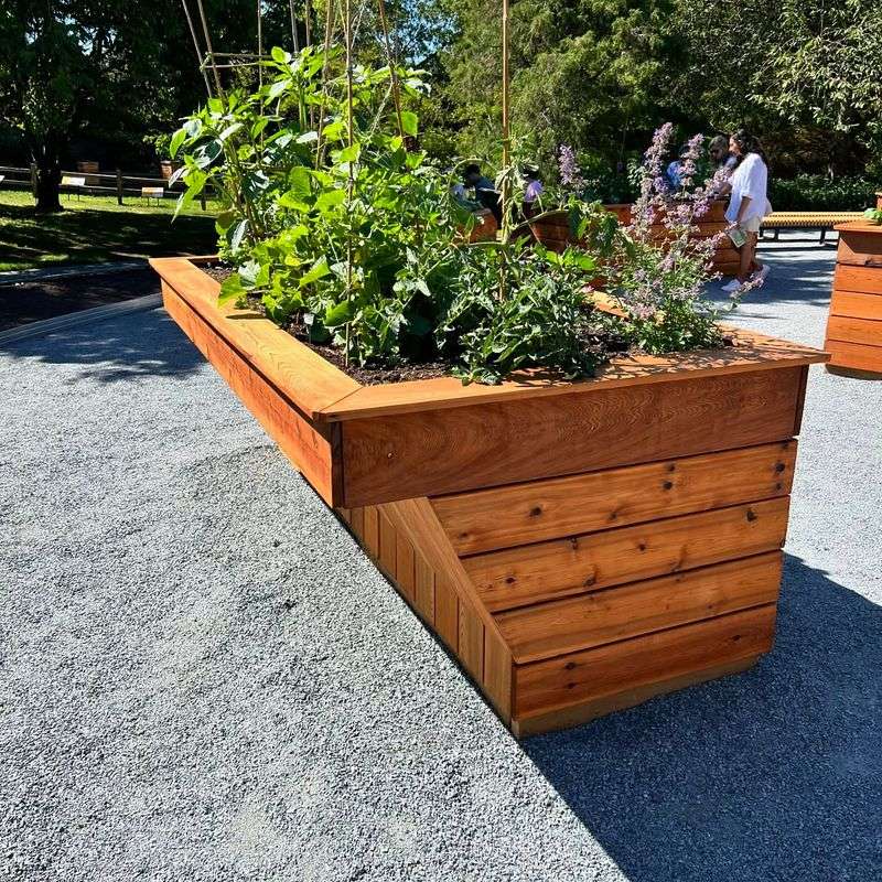 Accessibility For Aging Gardeners