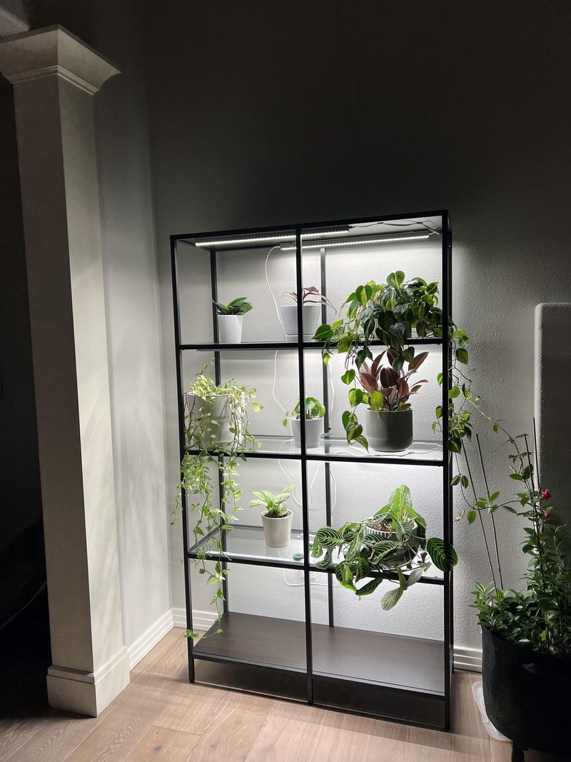 Bookshelf Grow Light Insert