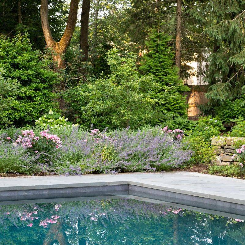 Pool Enclosures