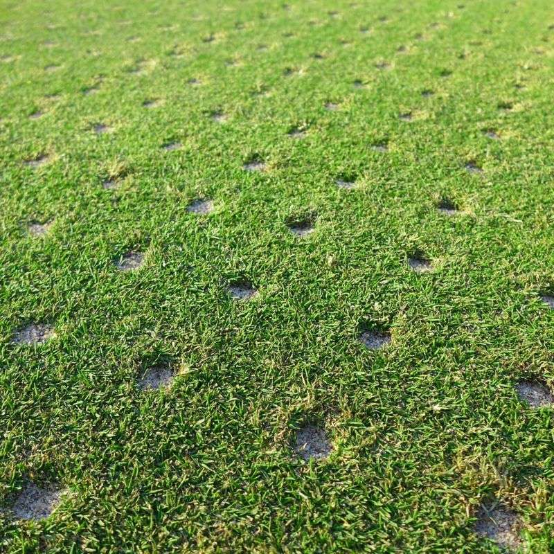 Aerate Compacted Soil