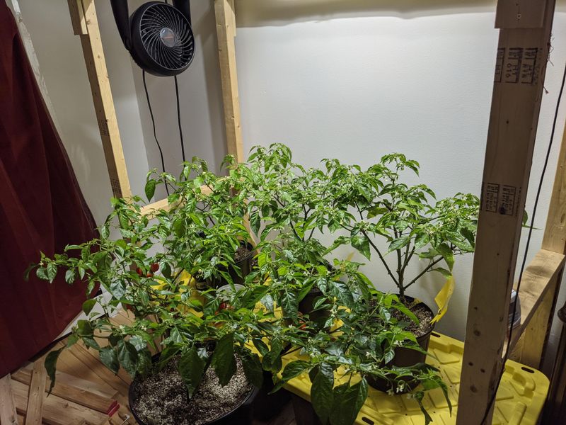 Control Humidity Levels