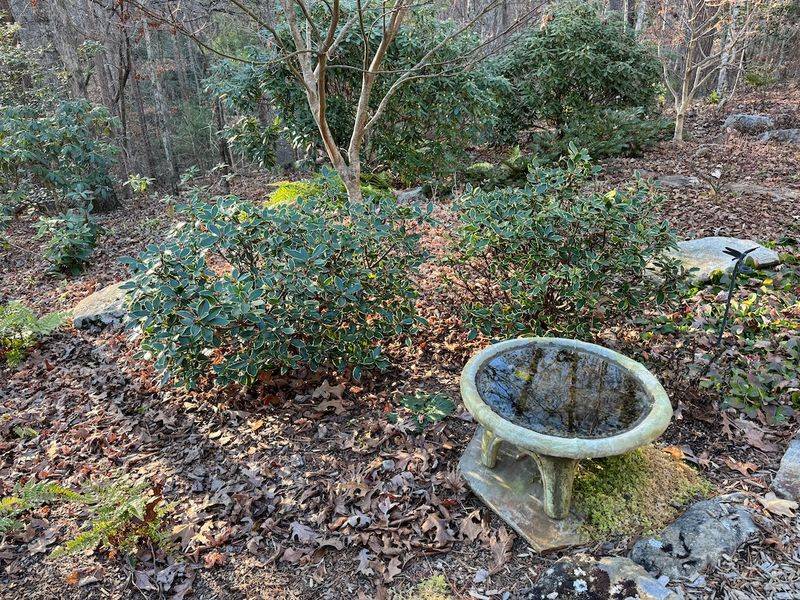 Shield Perennials Through Winter