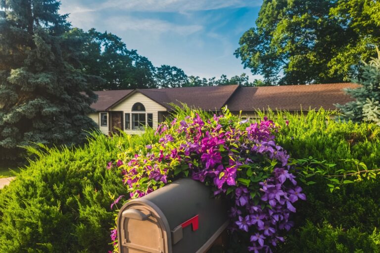 mailbox garden plants