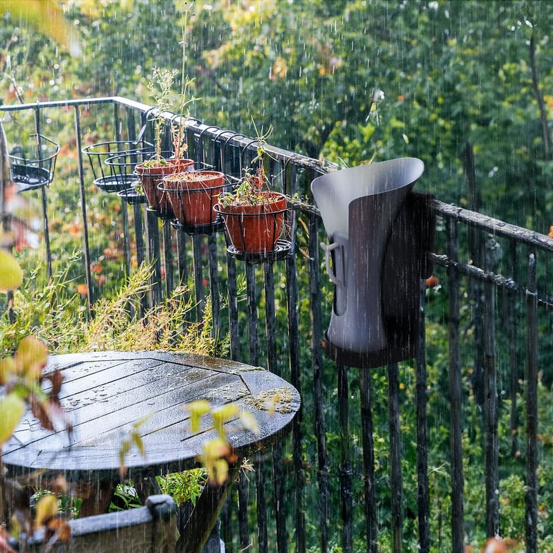 Rainwater Collection Saves Dollars And Plants