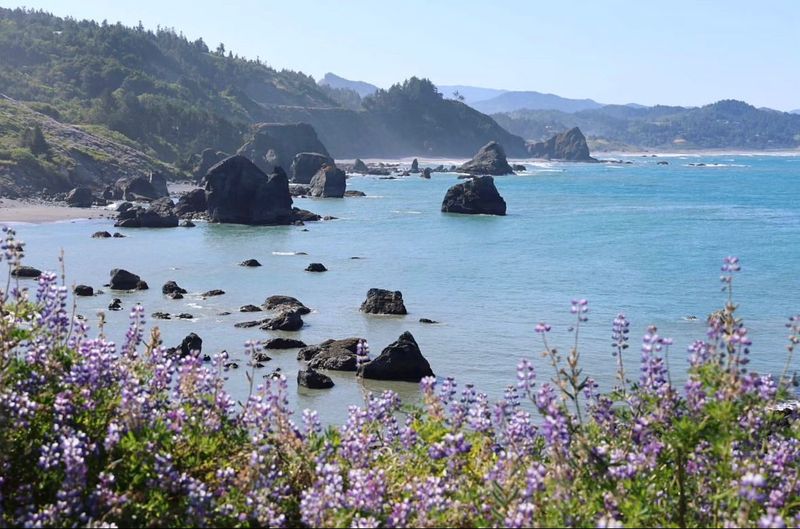 Port Orford's Fireweed Displays