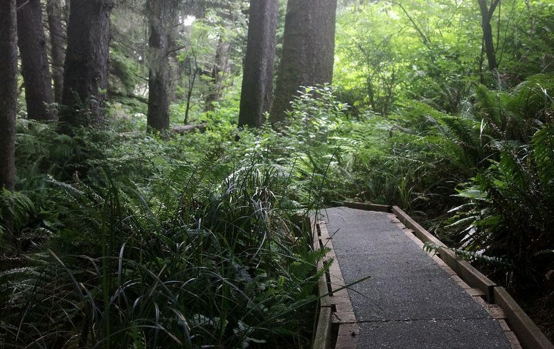 Yachats: Where Rainforest Meets Village Gardens