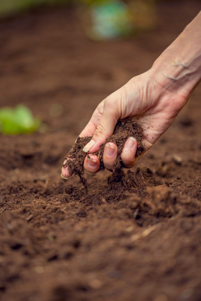 Analyze Your Soil Composition