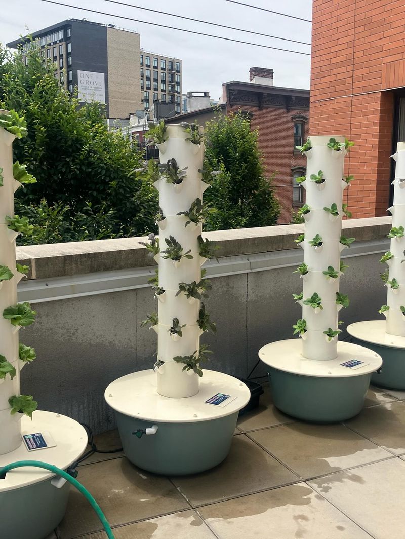 Vertical Growing Systems