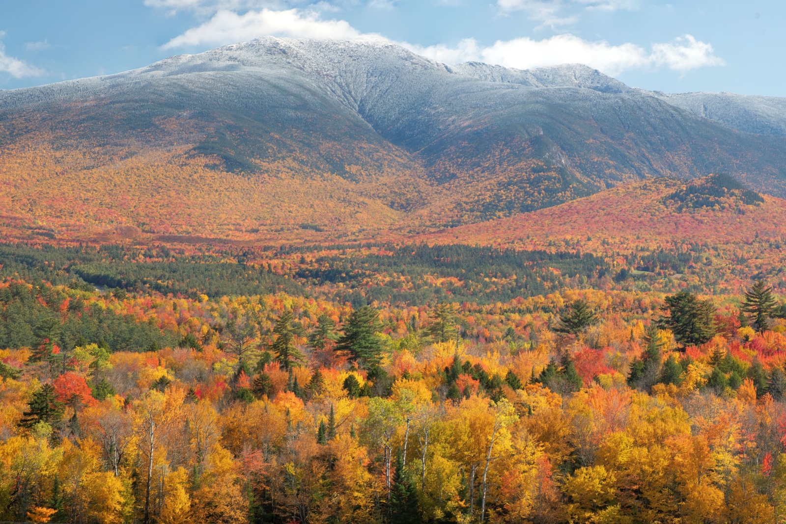 Maple Trees Cast A Timeless Glow On New Hampshire Towns