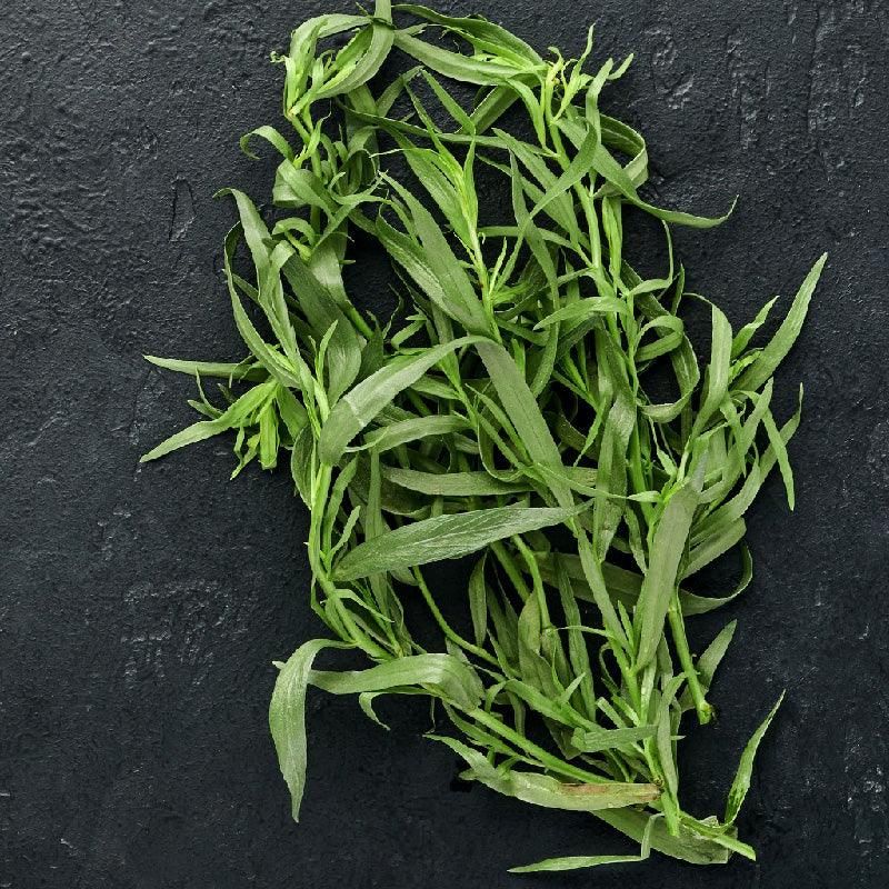Tarragon