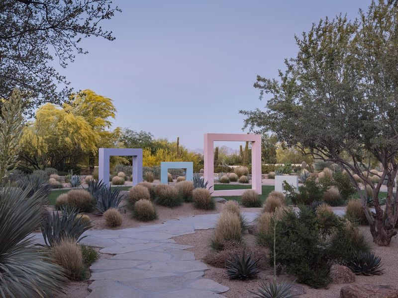 Create Shade Zones For Delicate Plants