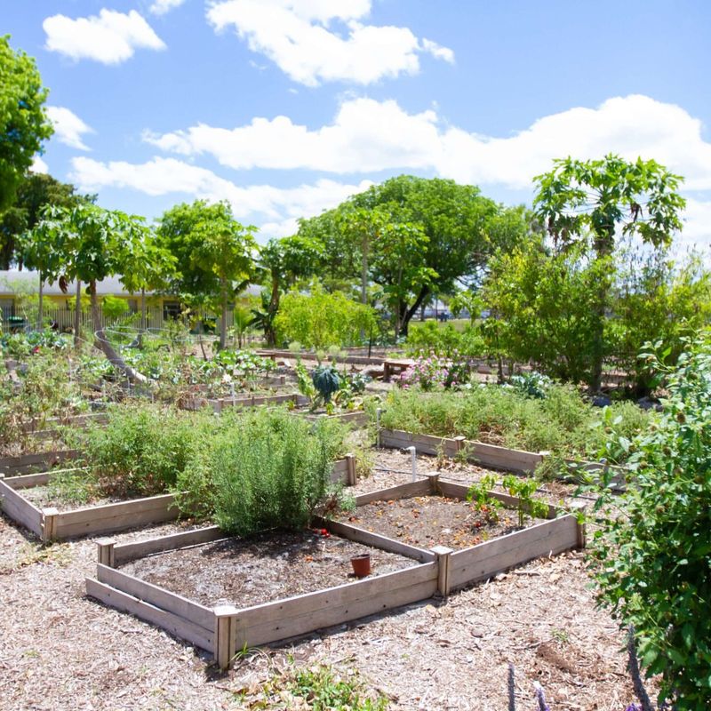 Join Community Garden Bulk Buys
