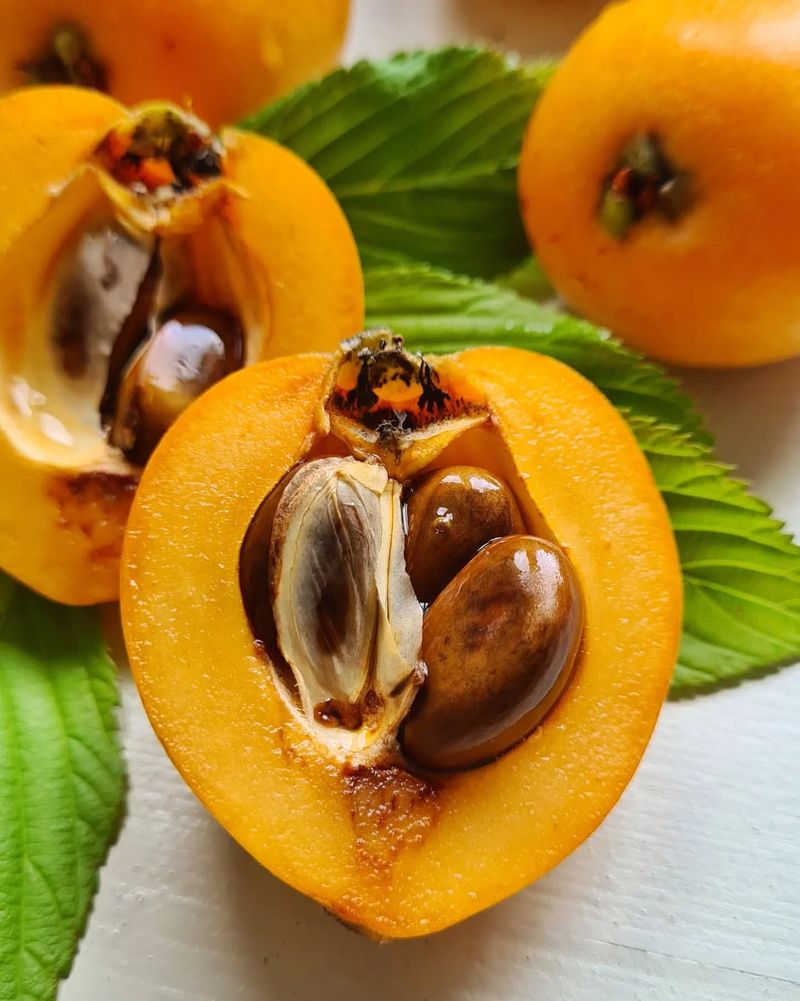 Loquats