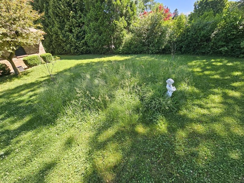 Remove Existing Vegetation