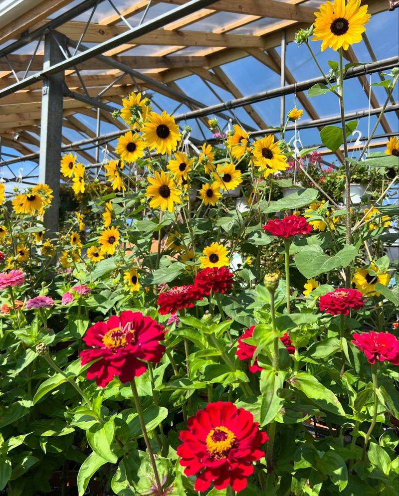 Children's Discovery Garden