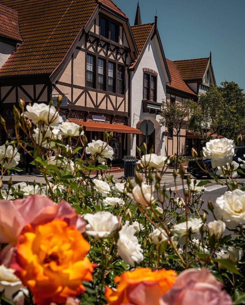 Solvang's Danish Rose Roads