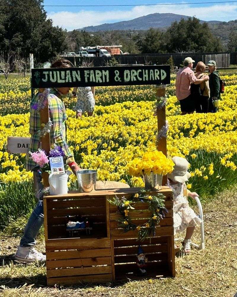 Julian's Mountain Tulip Retreat