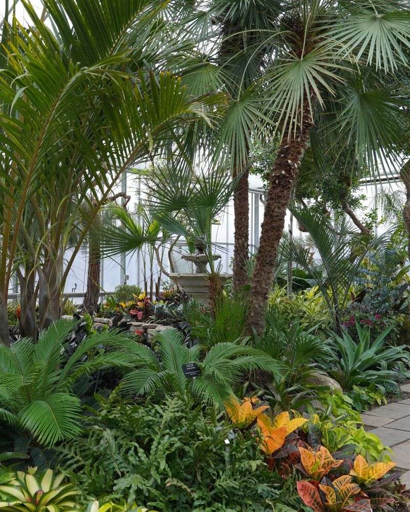 Royal Palm Alley