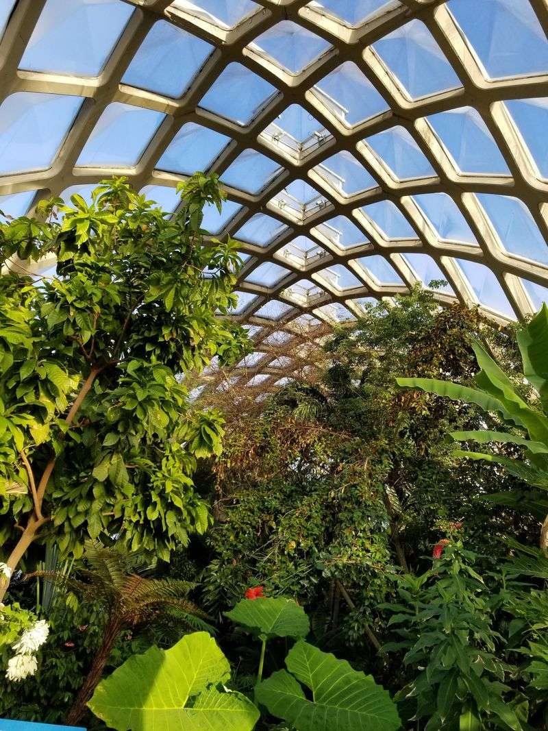 Seasonal Plant Rotations And Displays