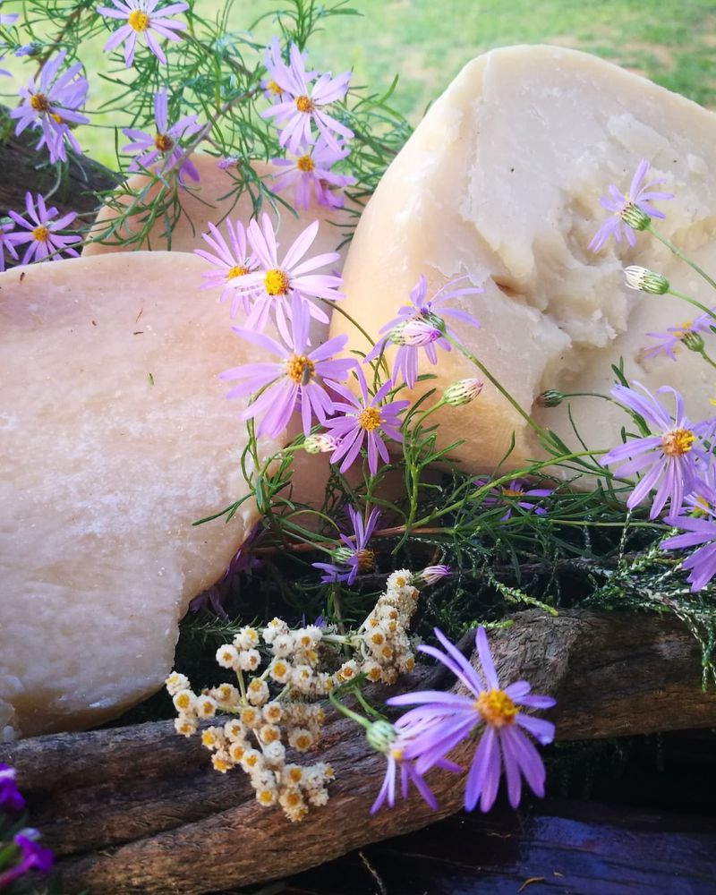 Goat Cheese
