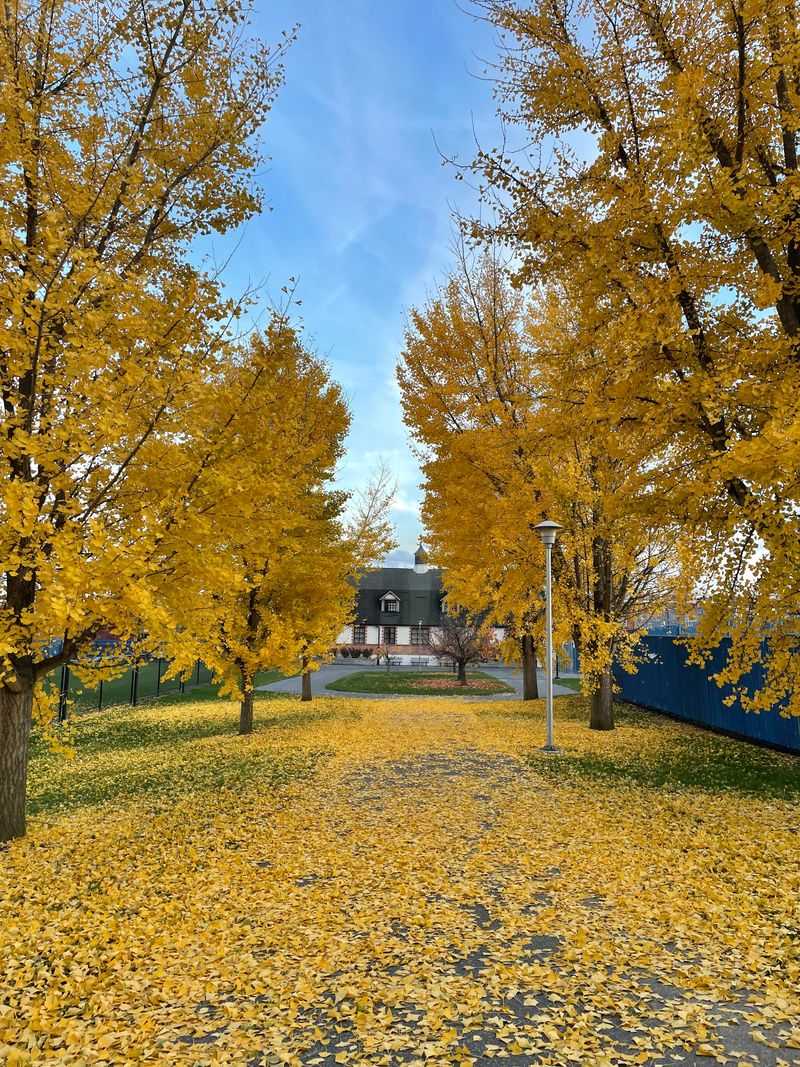 Lititz's Litbrook Path