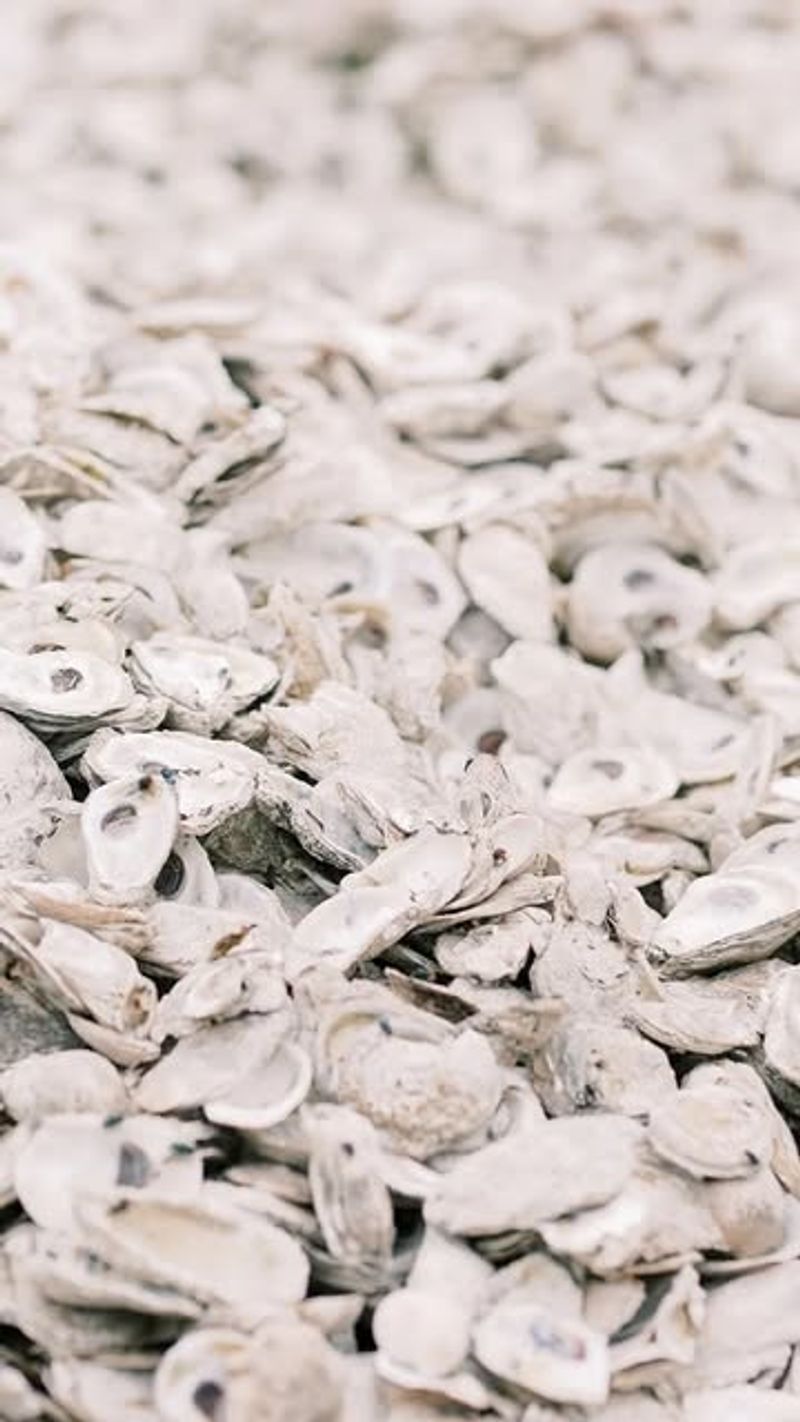 Crushed Oyster Shell Amendment