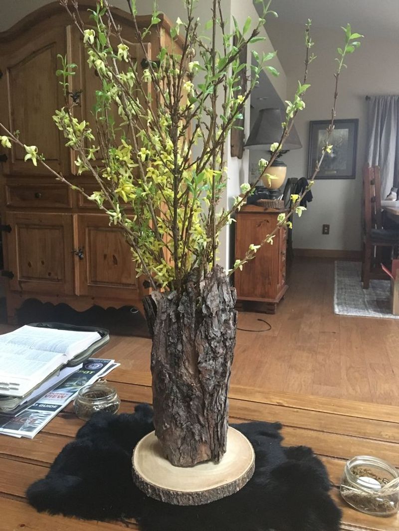 Sycamore Bark Vase Wraps