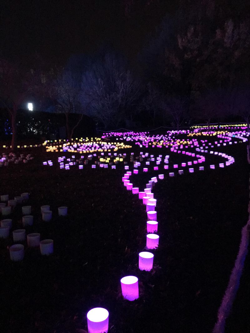 Night-Glow Garden Features