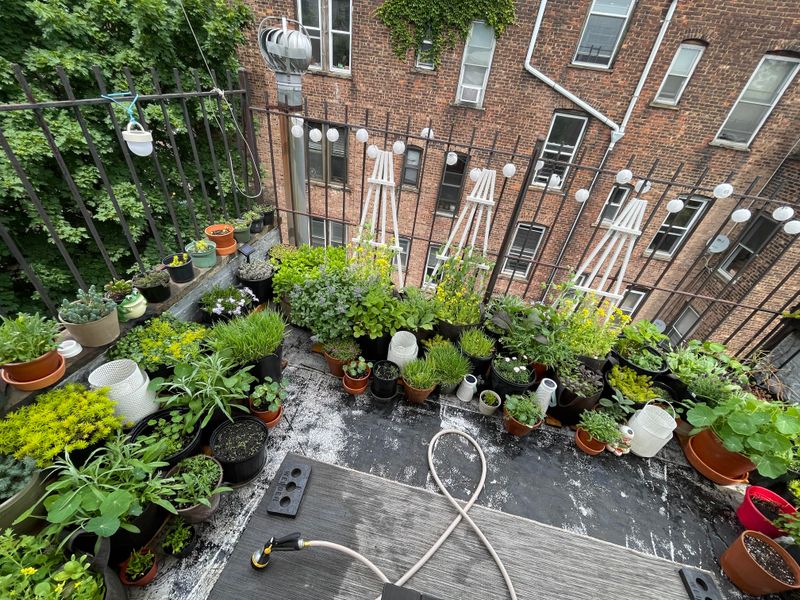 Movable Container Forest