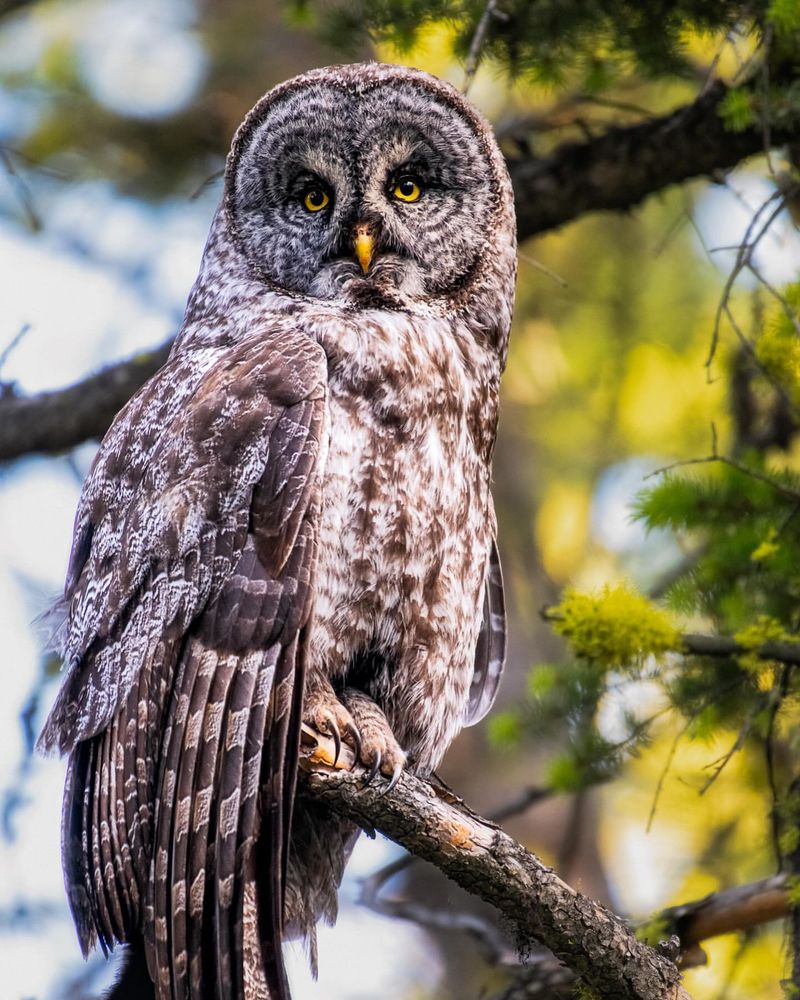 Create A Wildlife-Friendly Landscape