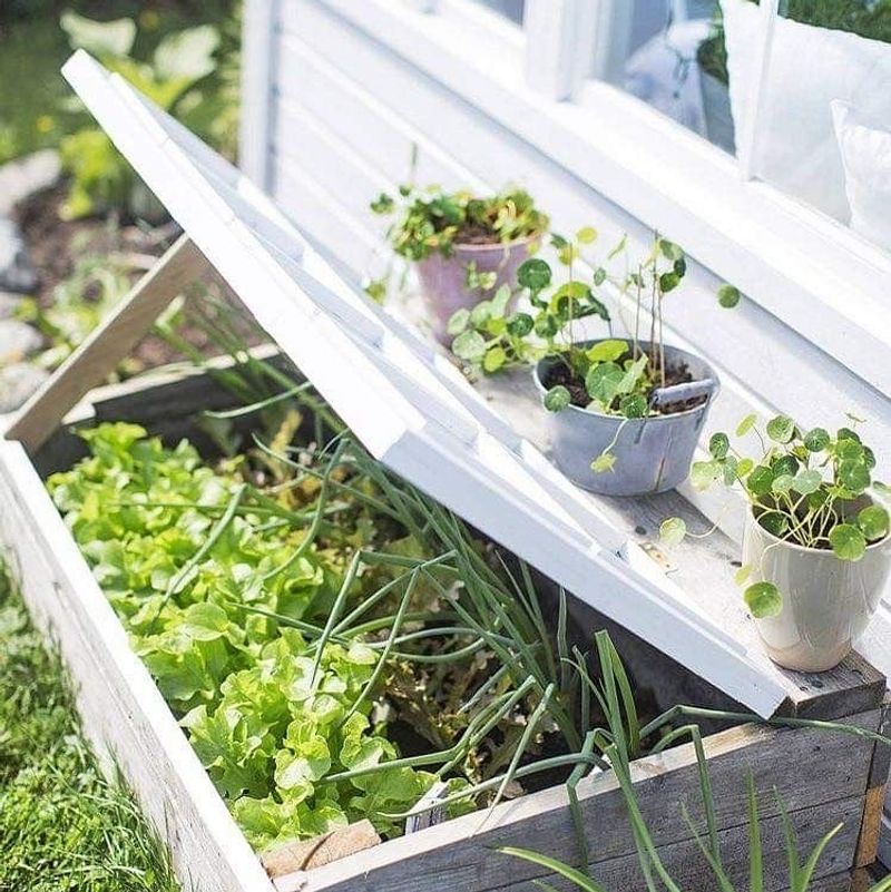DIY Cold Frames From Recycled Windows