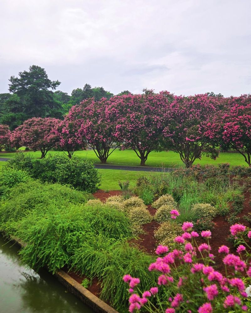 Flowering Arboretum