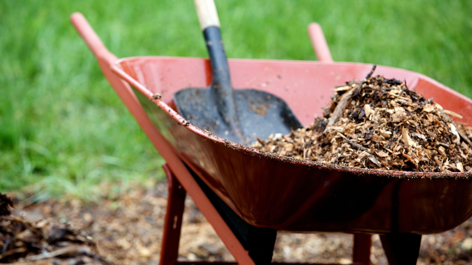 mulch