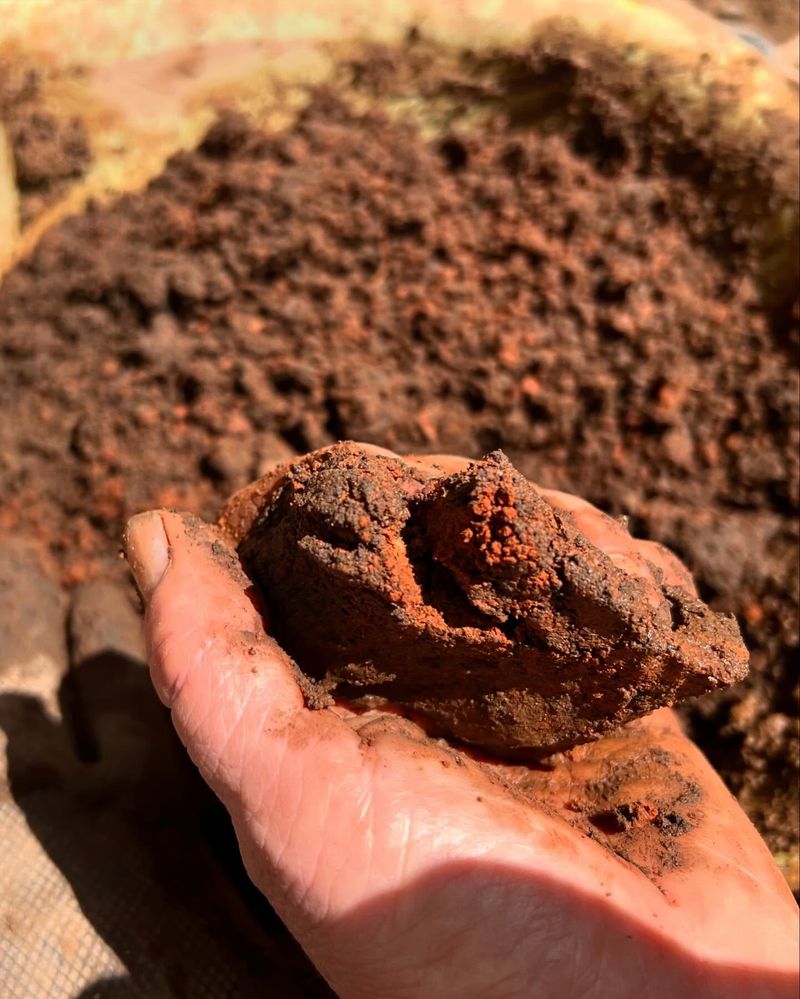 Lakefront Clay Soil Transformation