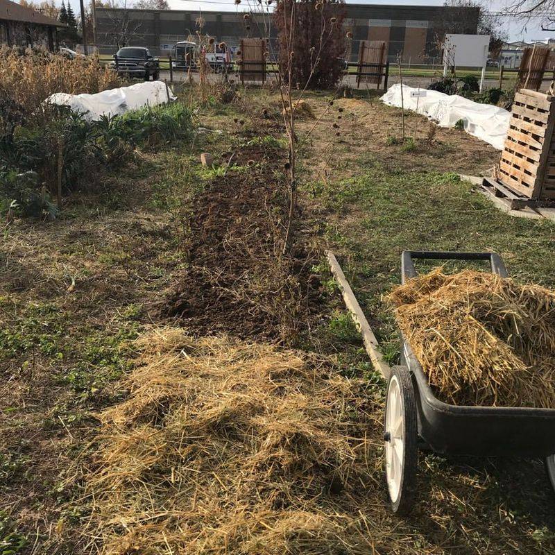 Check Mulch Mid-Winter