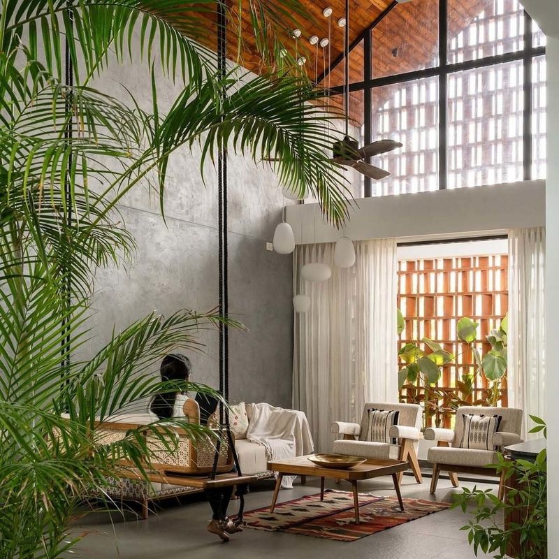 Parlor Palm