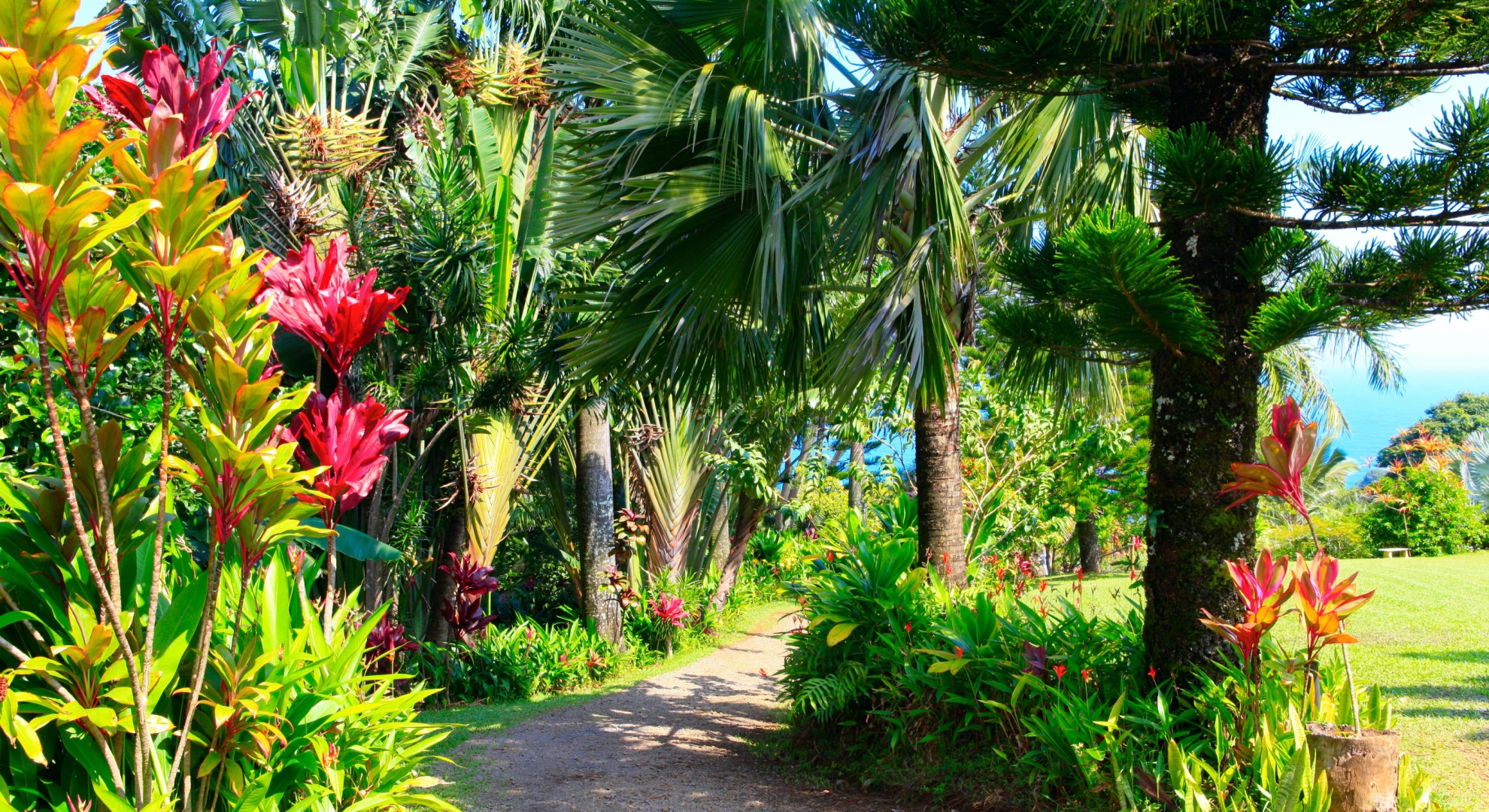 Moonlight Gardens That May Glow After Dark In Hawaii