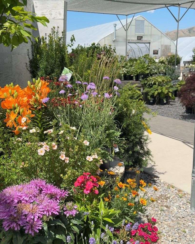 Pollinator Pit Stops