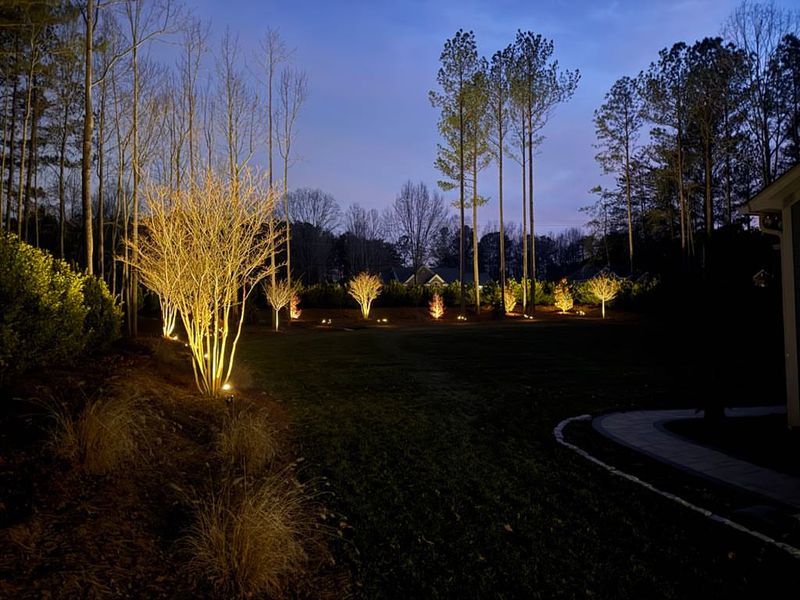 Water-Conserving Drip Light Systems