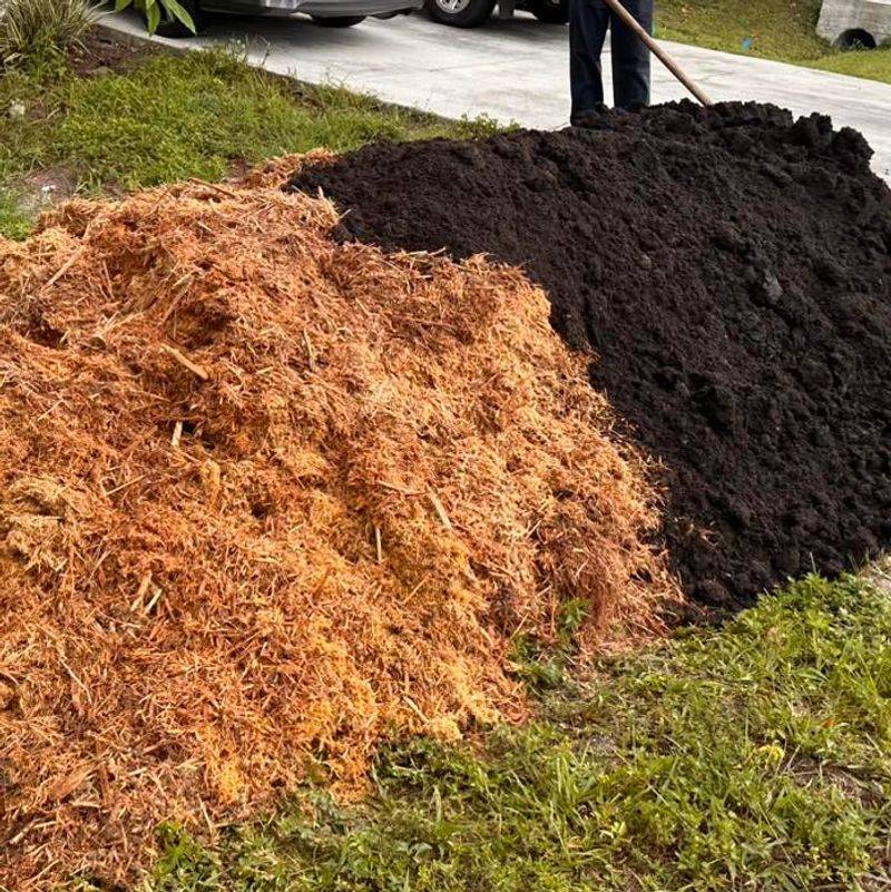 Mulch From The Mountains