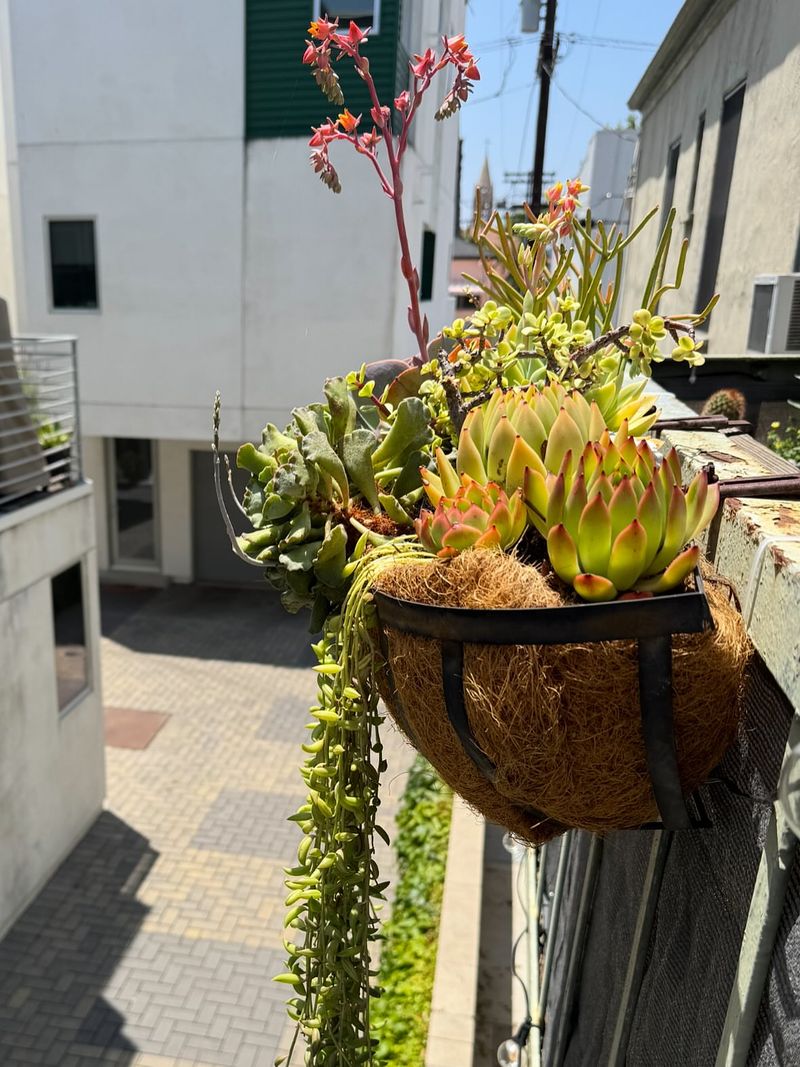 Upcycled Tile Hanging Planters