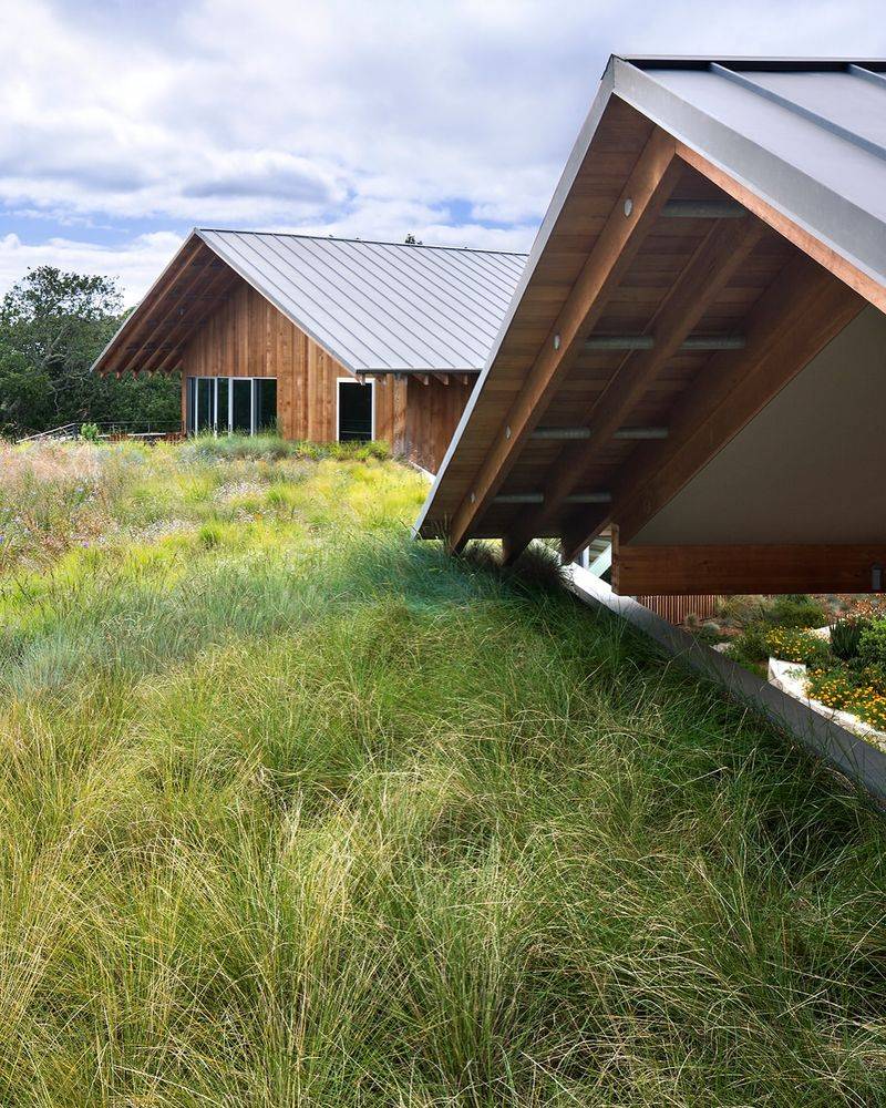 Native Grass Prairie