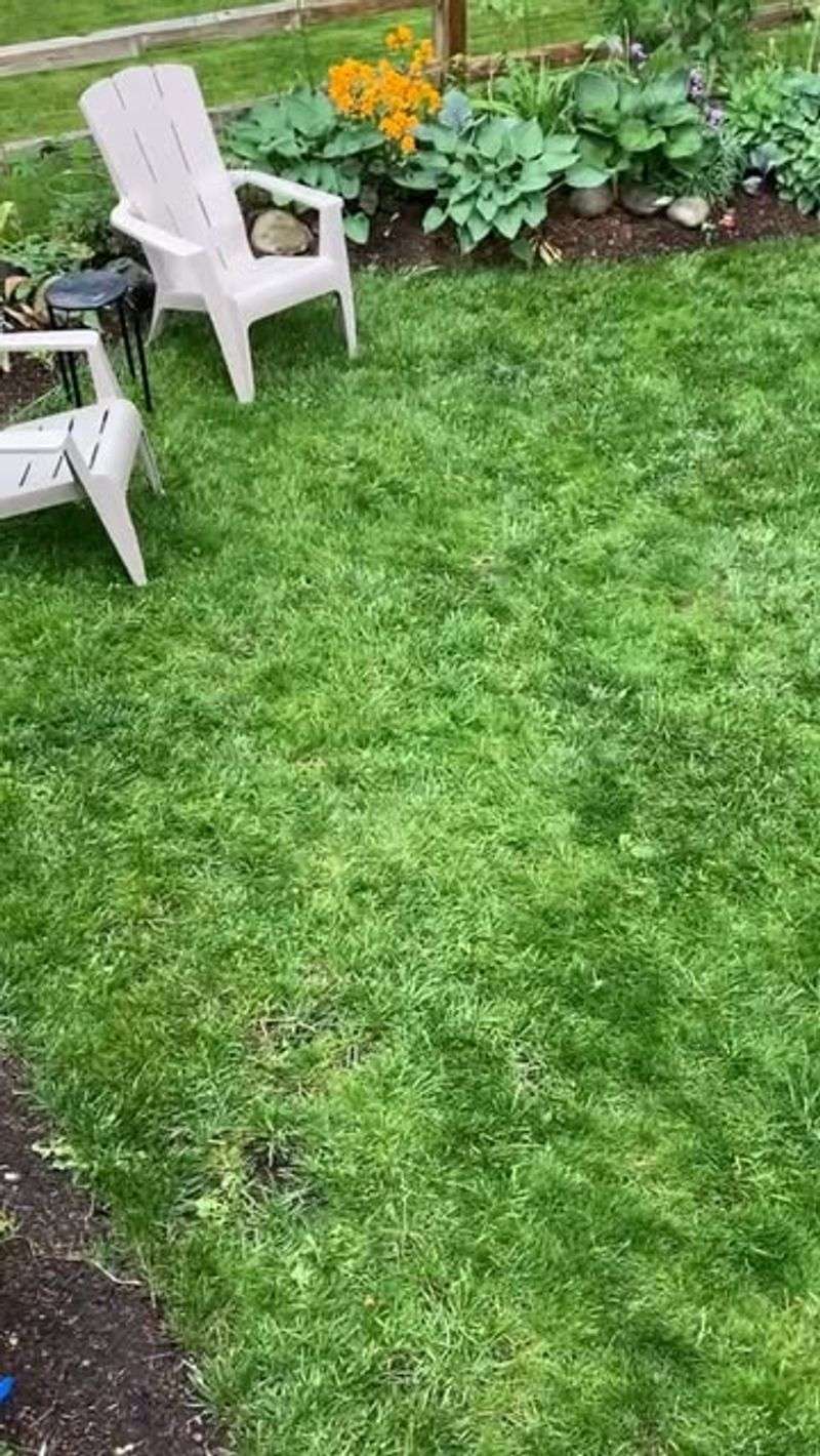 Free Nitrogen Fertilizer