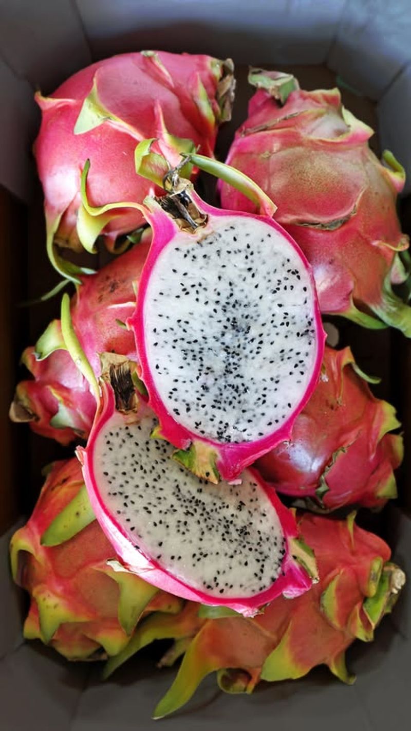 Dragonfruit