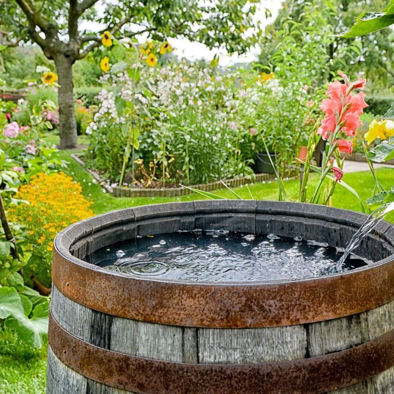 Harvesting Rainwater: Nature's Free Garden Resource