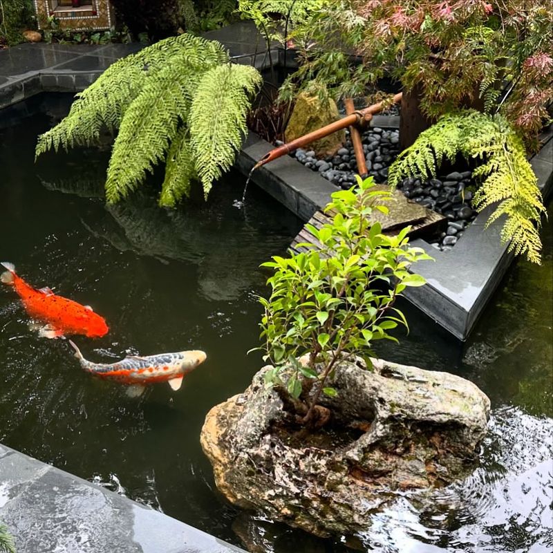 Pond Debris Catchers