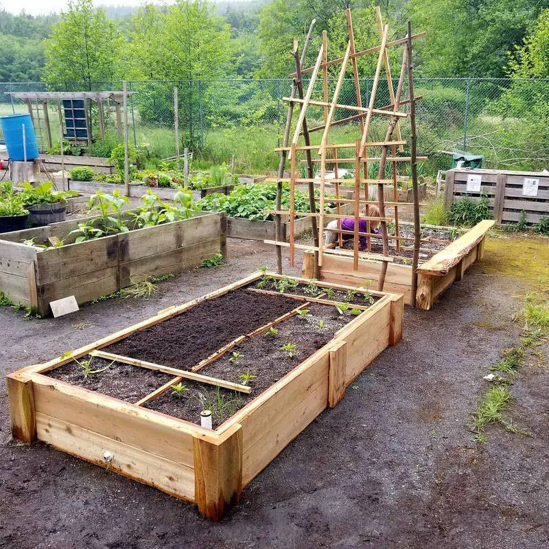 Raised Beds Improve Drainage