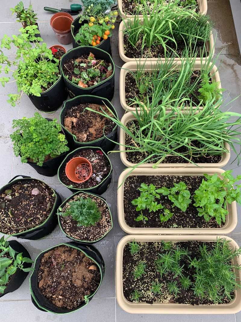 Root Preservation